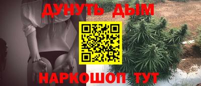 шишки Краснознаменск