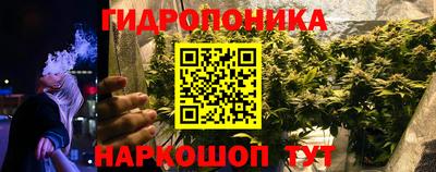 шишки Краснознаменск