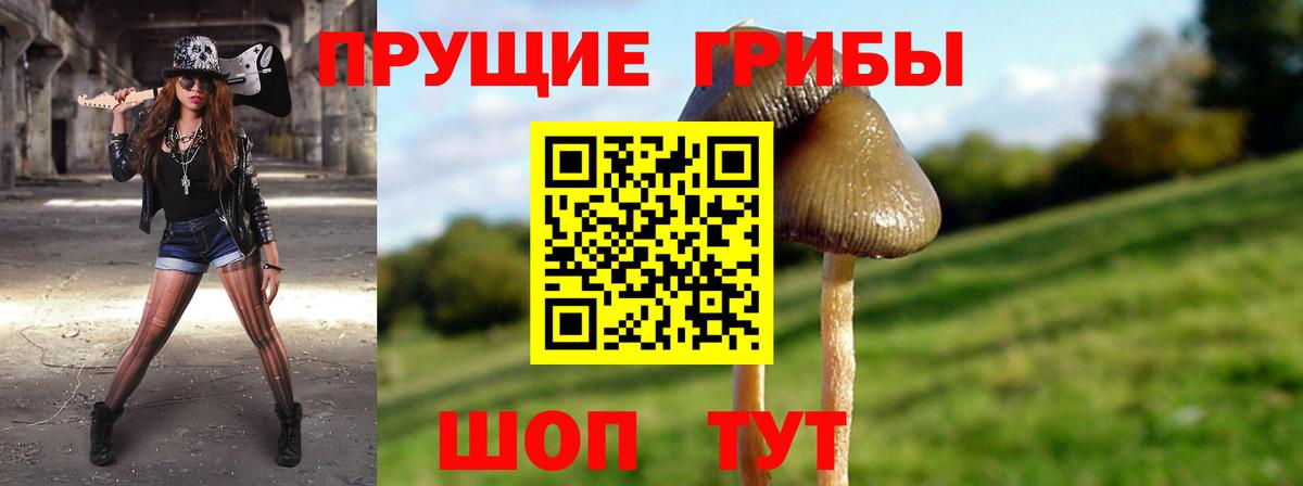 Галлюциногенные грибы прущие грибы Клинцы